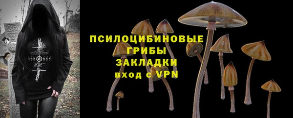СК Арсеньев